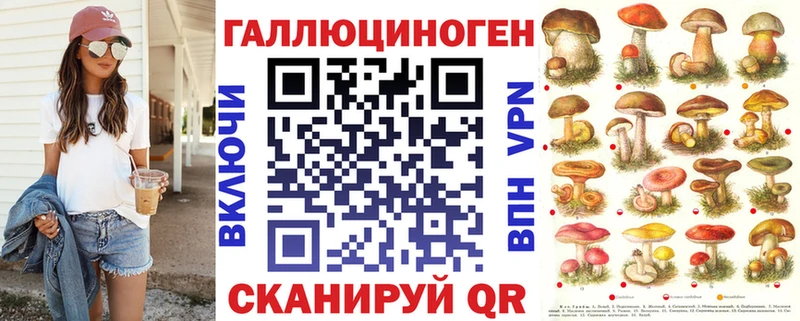 где продают   Каргат  Псилоцибиновые грибы GOLDEN TEACHER 